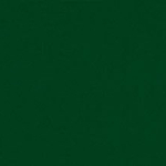 2404 Selská barva, Jedlová zeleň 0,005 l